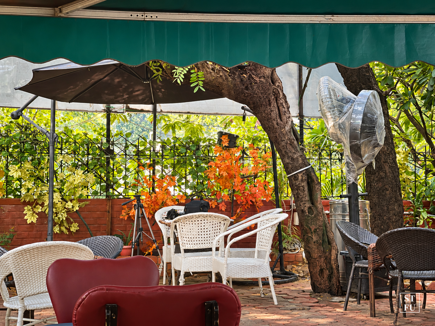 Tree-shaded garden patio at Too Mikkii Tapas Chanakyapuri